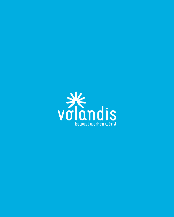 review volandis lisa design studio knallr